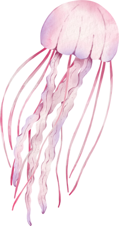 Watercolor jellyfish
